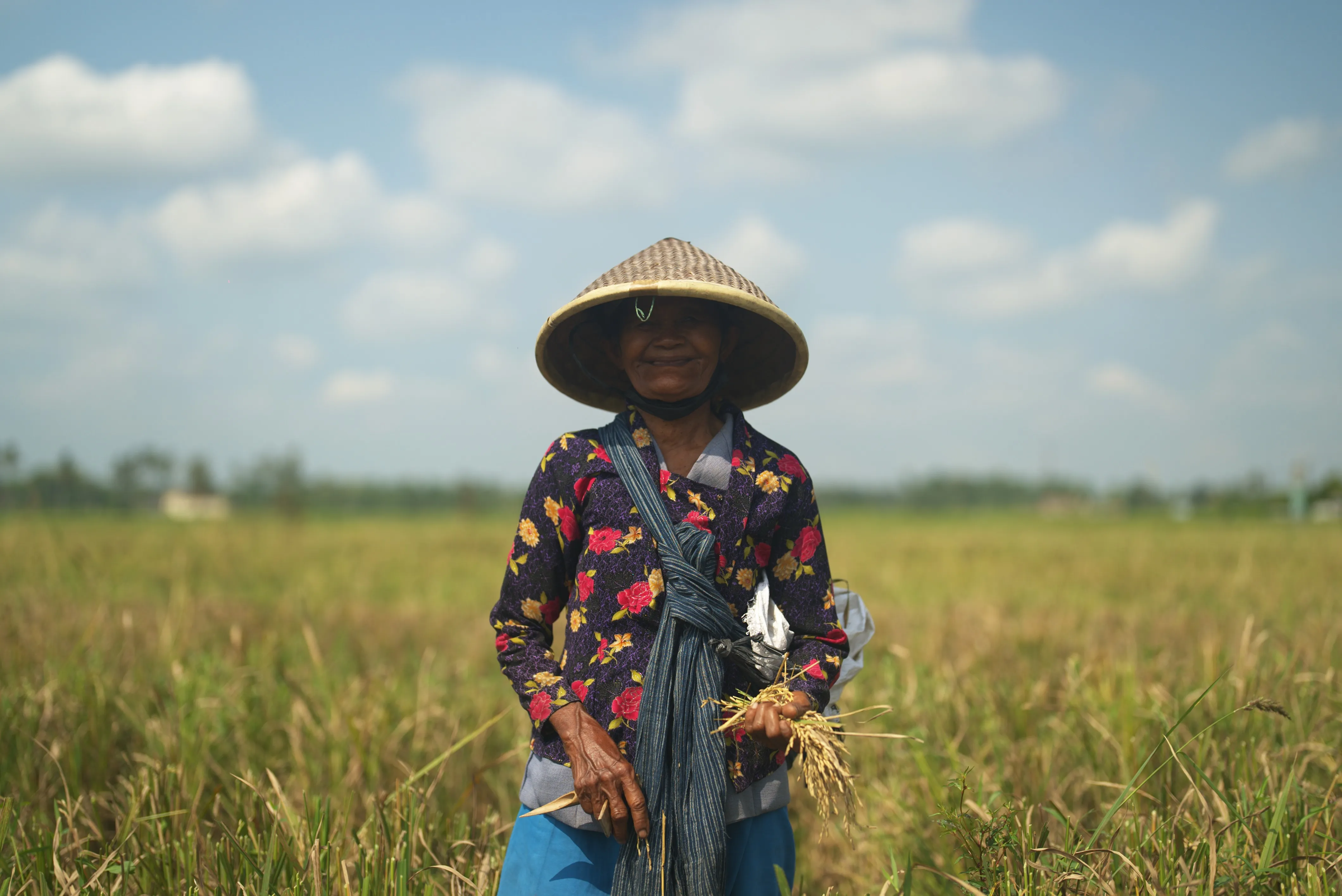 A farmer in a conical hat standing in a rice field